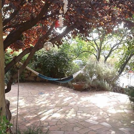 Atelier Pasquer Bed & Breakfast Fitou Ngoại thất bức ảnh