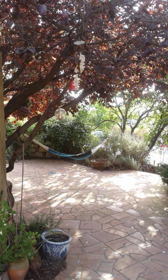 Atelier Pasquer Bed & Breakfast Fitou Ngoại thất bức ảnh